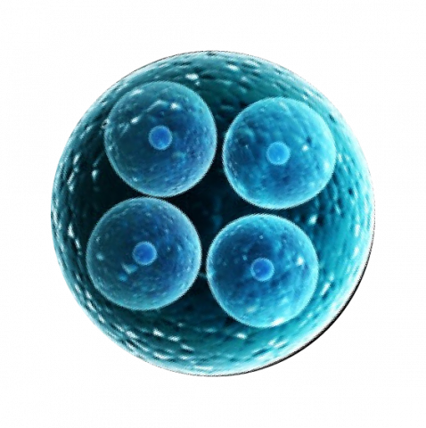 sub image